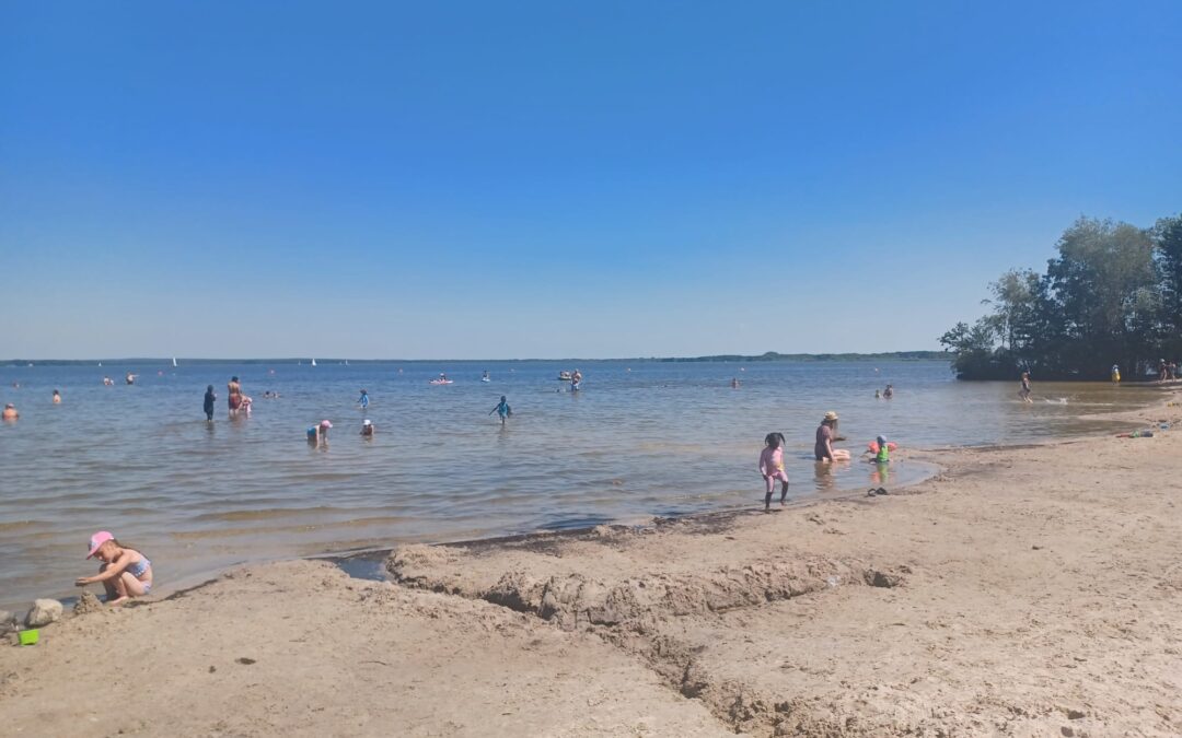 Bericht SchMitt e.V.: Familienausflüge in den Sommerferien